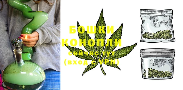 сатива Горнозаводск