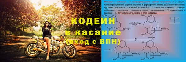 сатива Горнозаводск