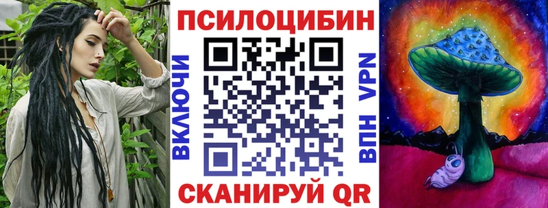 Купить  Беслан  Псилоцибиновые грибы мицелий 